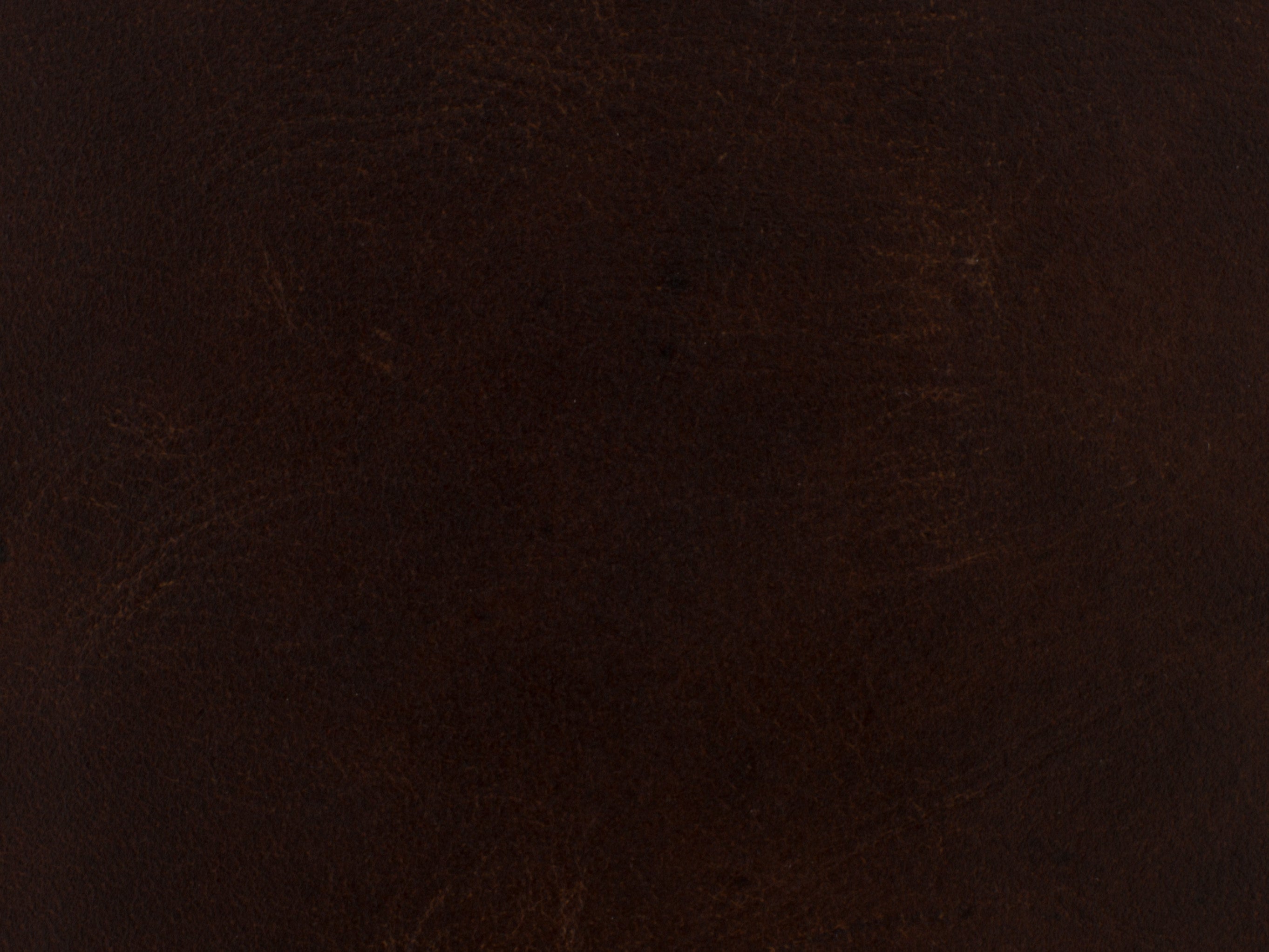 Hooker Furniture Maya Wing Club Chair in Dark Brown